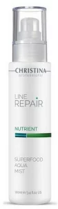 Суперувлажняющий акваспрей для лица Christina Line Repair Nutrient Superfood Aqua Mist, 100 мл
